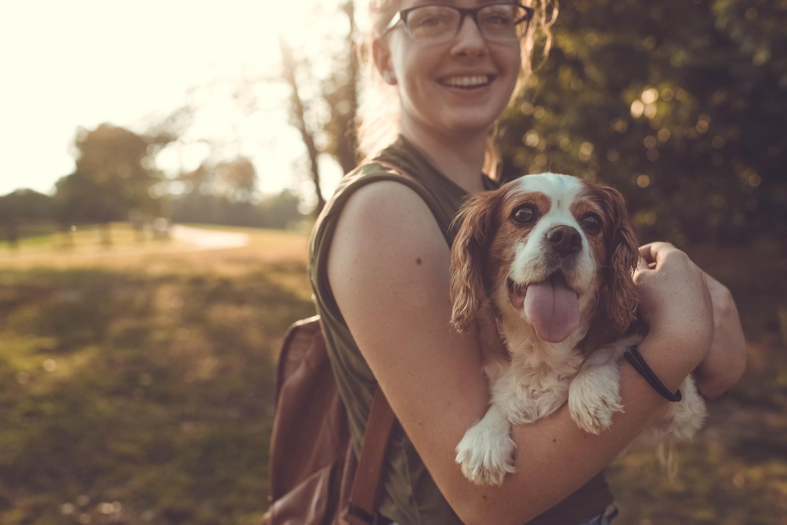 does having a dog improve your health