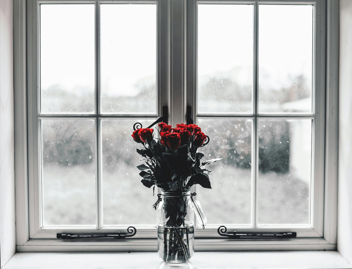 Roses on a wintery window sill.